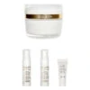 Sisley Paris Sisleÿa Geschenkset L'Integral Anti-Âge Visage -Clarins || Babor || Shiseido Verkäufe 1388142 Sisley Paris Sisleya Geschenkset L Integral Anti Age Visage.d8466cae